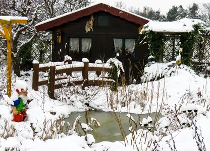 Dwarf pond ice