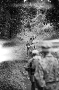 Patjet-Batoe Nederlandse militairen trekken door dichte begroeiing in een oerwo, Bestanddeelnr 4521