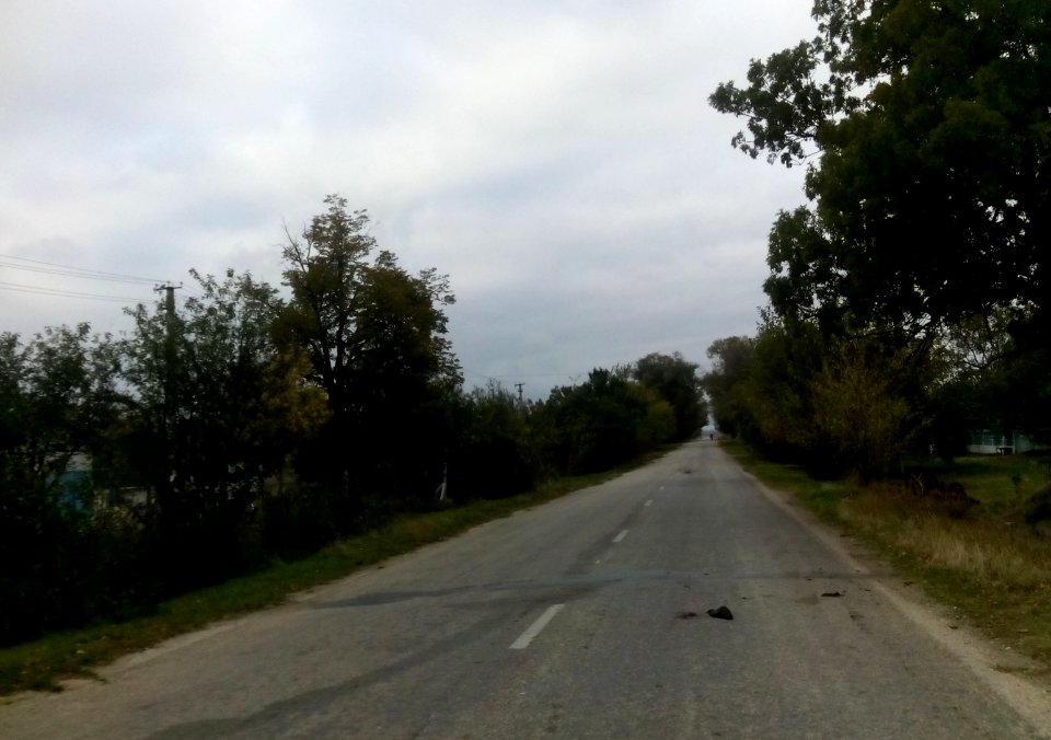 PartizaniKir 8