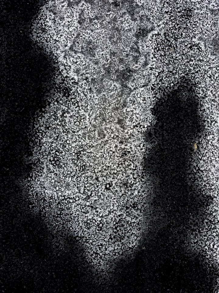 Pavement 2 - Arlington, MA