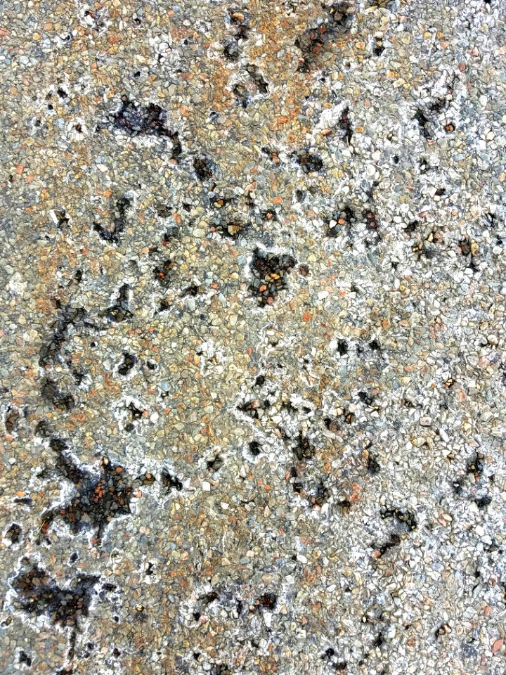 Pavement 10 - Arlington, MA - 20210209 091034
