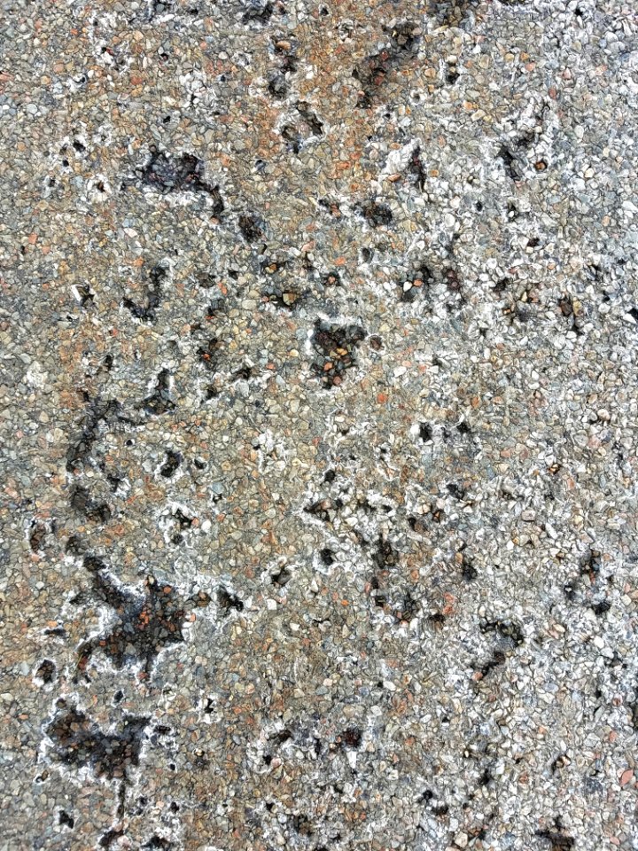 Pavement 8 - Arlington, MA