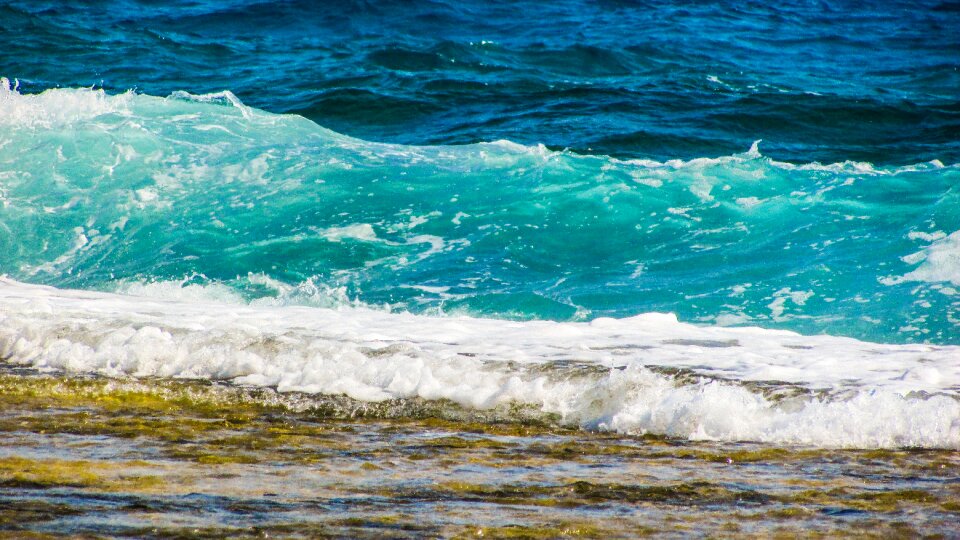 Foam sea beach photo