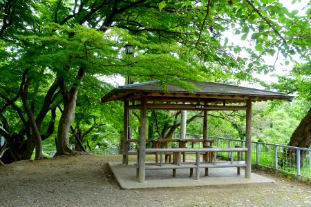 Pavilion - Morioka Castle - Iwate, Japan - DSC03966