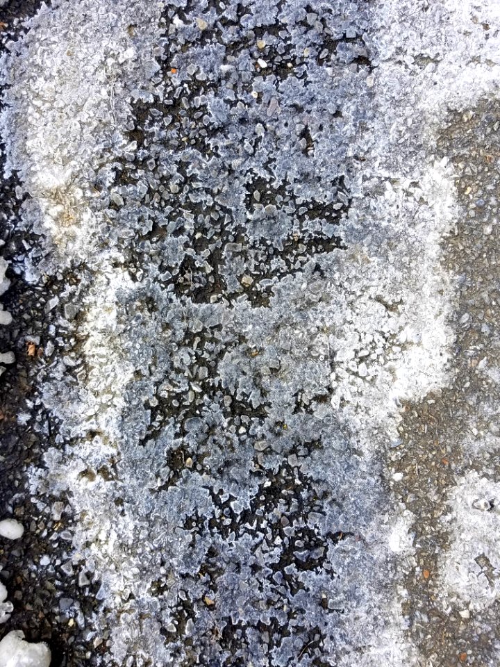 Pavement 12 - Arlington, MA - 20210213 104011