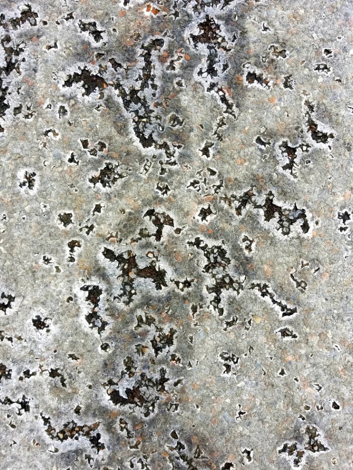 Pavement 13 - Arlington, MA - 20210215 091008