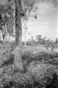 Patrouille, Bestanddeelnr 255-5-5