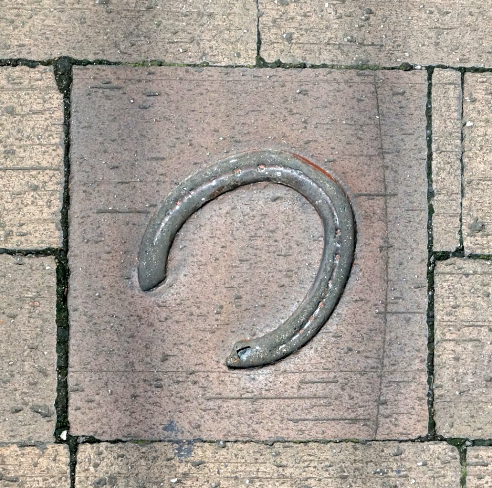 Pavement marker to JRA Equestrian Park - Setagya, Tokyo, Japan - DSC09626