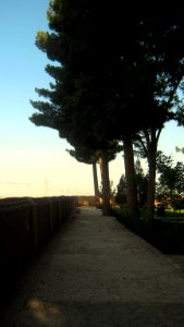 Pavement - Wall - Tree - Mausoleum of Attar - Nishapur
