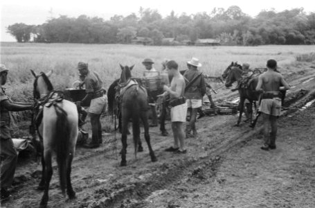 Patrouille bij Pankalan in het Krawangse. De paarden werden ontpakt voor de rust, Bestanddeelnr 1581-3-2