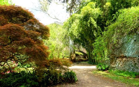 Paths - Giardino di Ninfa, Italy - DSC03125 photo