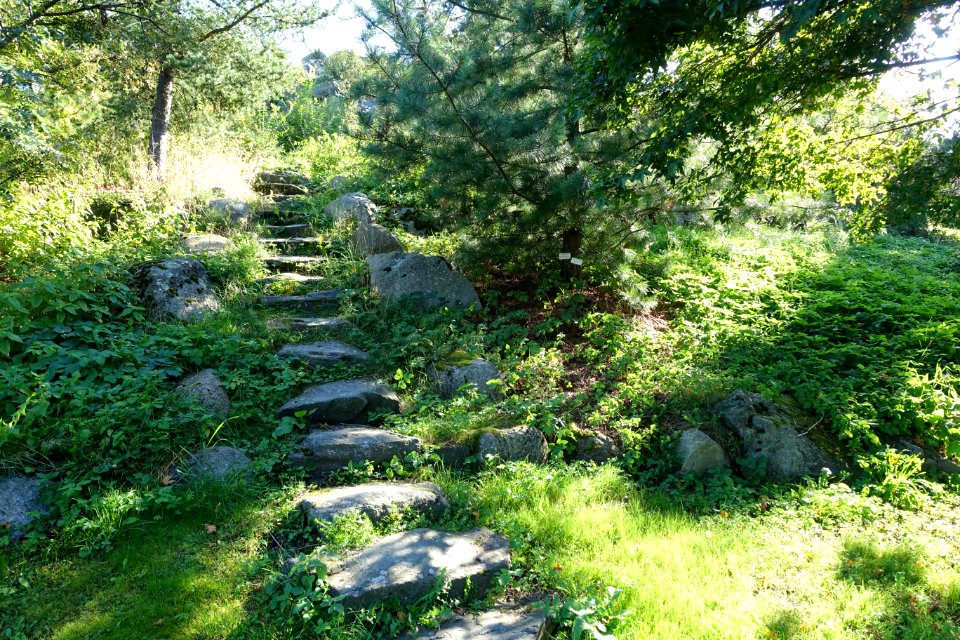 Pathway - Bergianska trädgården - Stockholm, Sweden - DSC00516