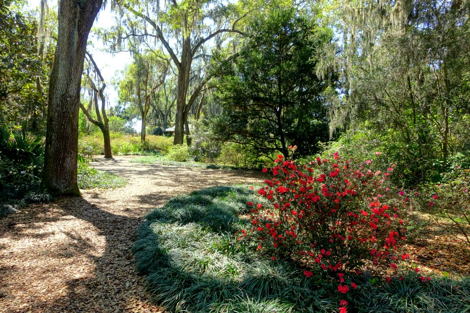 Paths - Bok Tower Gardens - DSC02212