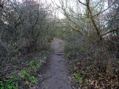 Path at Drachenberg on 2019-12-18 08