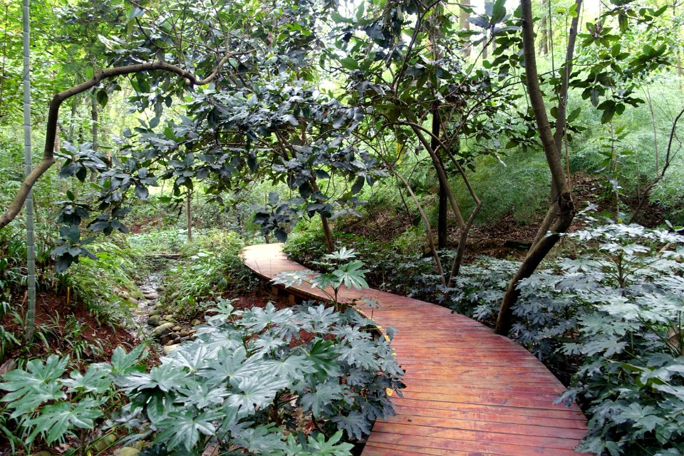 Pathway - Chengdu Botanical Garden - Chengdu, China - DSC03271