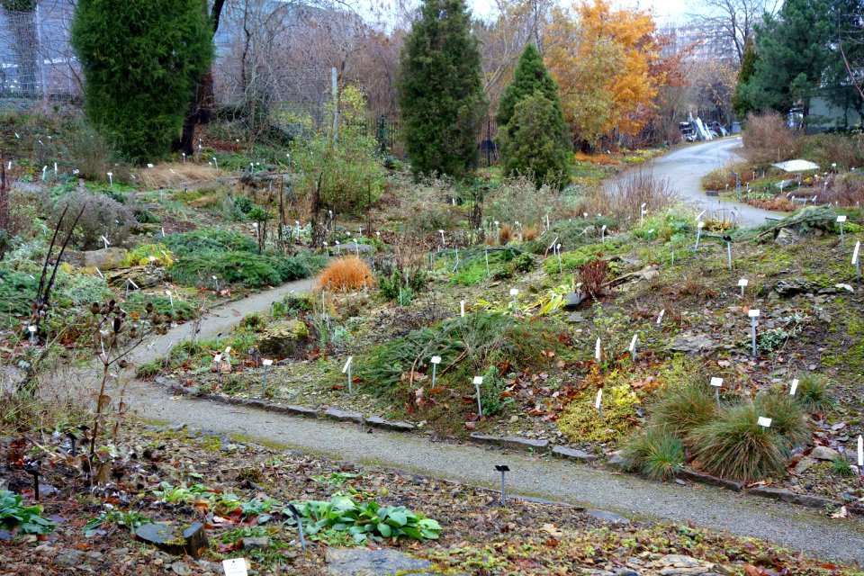 Pathway - Botanischer Garten, Dresden, Germany - DSC08669