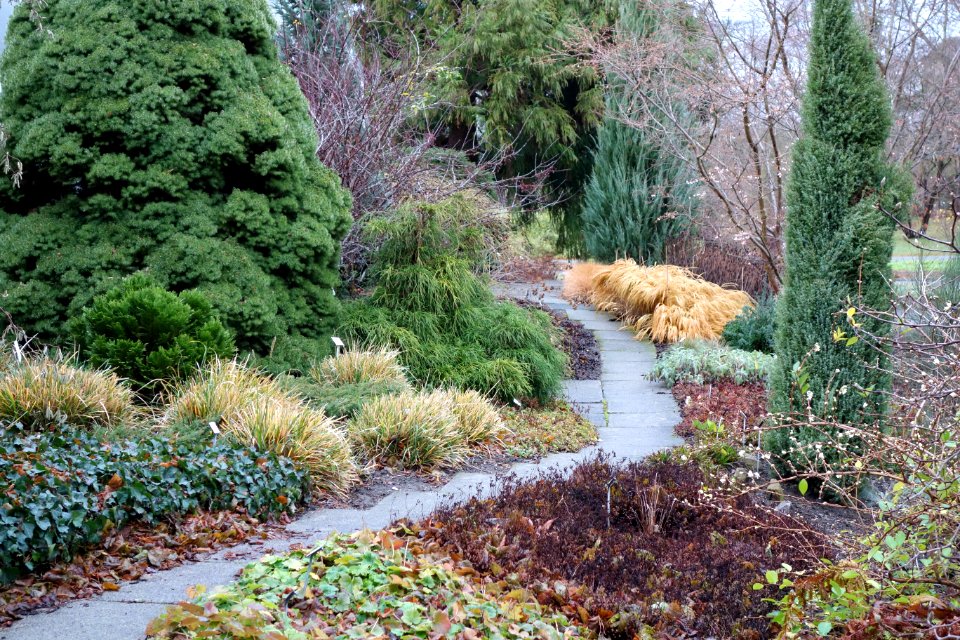 Pathway - Botanischer Garten, Dresden, Germany - DSC08647