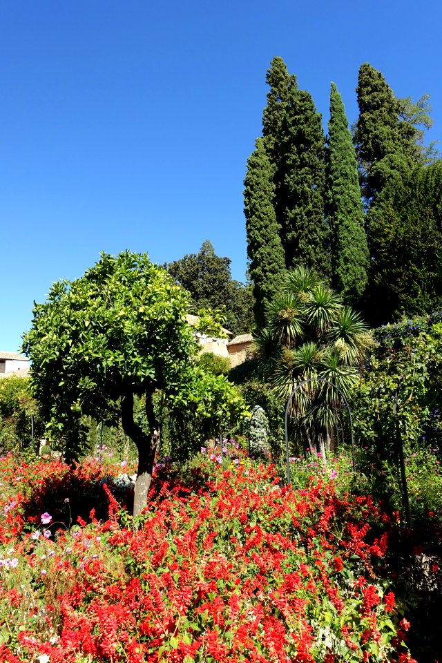 Patio del Ciprés de la Sultana (Generalife) - Alhambra, Granada, Spain - DSC07765
