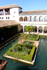Patio del Ciprés de la Sultana (Generalife) - DSC07835