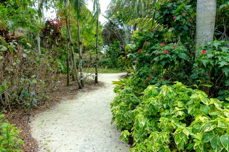 Path - Mounts Botanical Garden - Palm Beach County, Florida - DSC03674