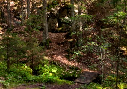 Path and footbridge in Gullmarsskogen ravine