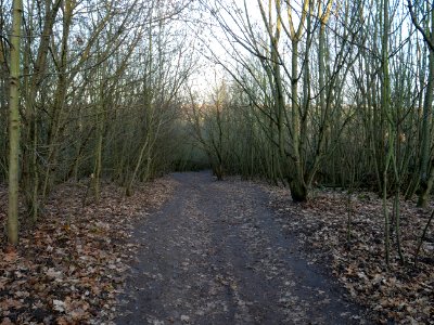 Path at Drachenberg on 2019-12-18 01