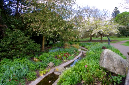 Path to the secluded garden - Kew Gardens photo