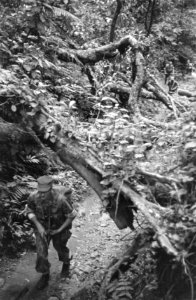 Patjet-Batoe Langs smalle bergpaadjes gaat de infanterie vooruit, steeds hoger , Bestanddeelnr 4560