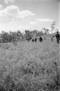 Patrouille, Bestanddeelnr 255-5-2