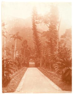 Path to a Shrine by Adolf de Meyer 1890's