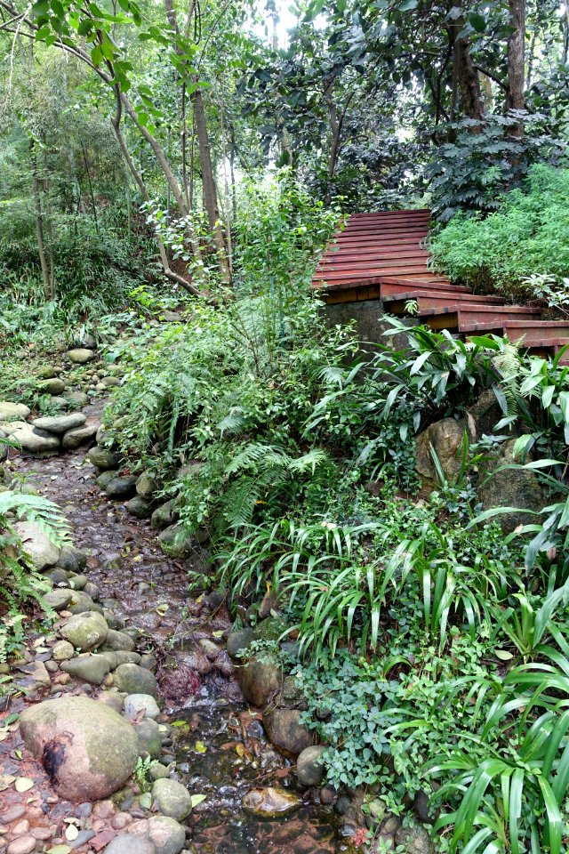 Pathway with stream - Chengdu Botanical Garden - Chengdu, China - DSC03266