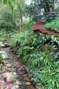 Pathway with stream - Chengdu Botanical Garden - Chengdu, China - DSC03266