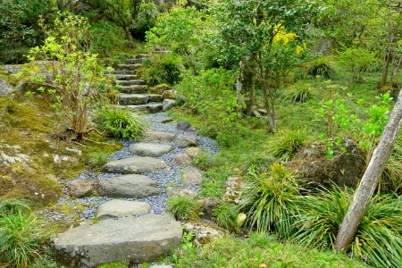Pathway - Hakuun-do Chaen Tearooms - Gora Park - Hakone, Kanagawa, Japan DSC08468