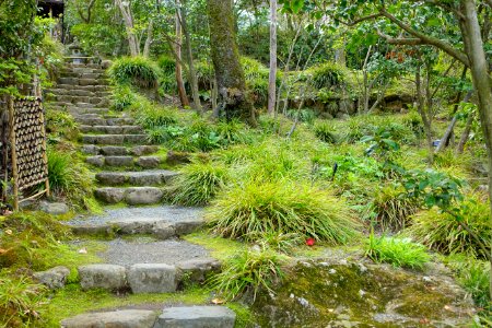 Pathway - Hakuun-do Chaen Tearooms - Gora Park - Hakone, Kanagawa, Japan DSC08520
