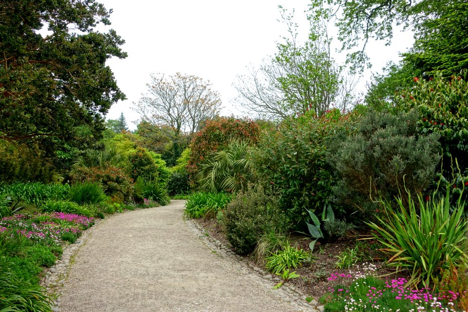 Pathway - Glendurgan Garden - Cornwall, England - DSC01749