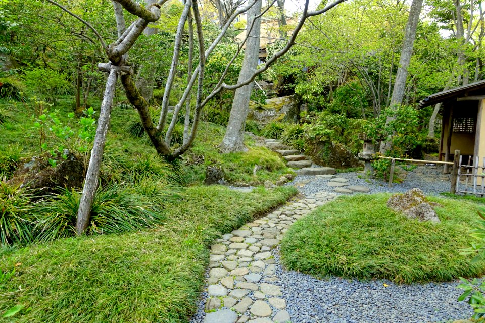 Pathway - Hakuun-do Chaen Tearooms - Gora Park - Hakone, Kanagawa, Japan DSC08466