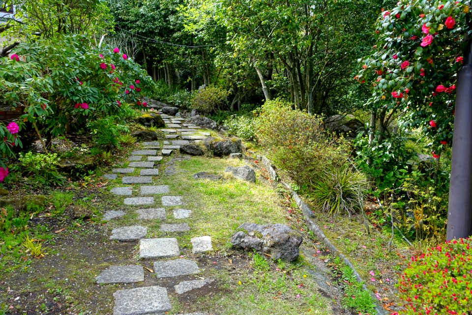 Pathway - Gora Park - Hakone, Kanagawa, Japan - DSC08452