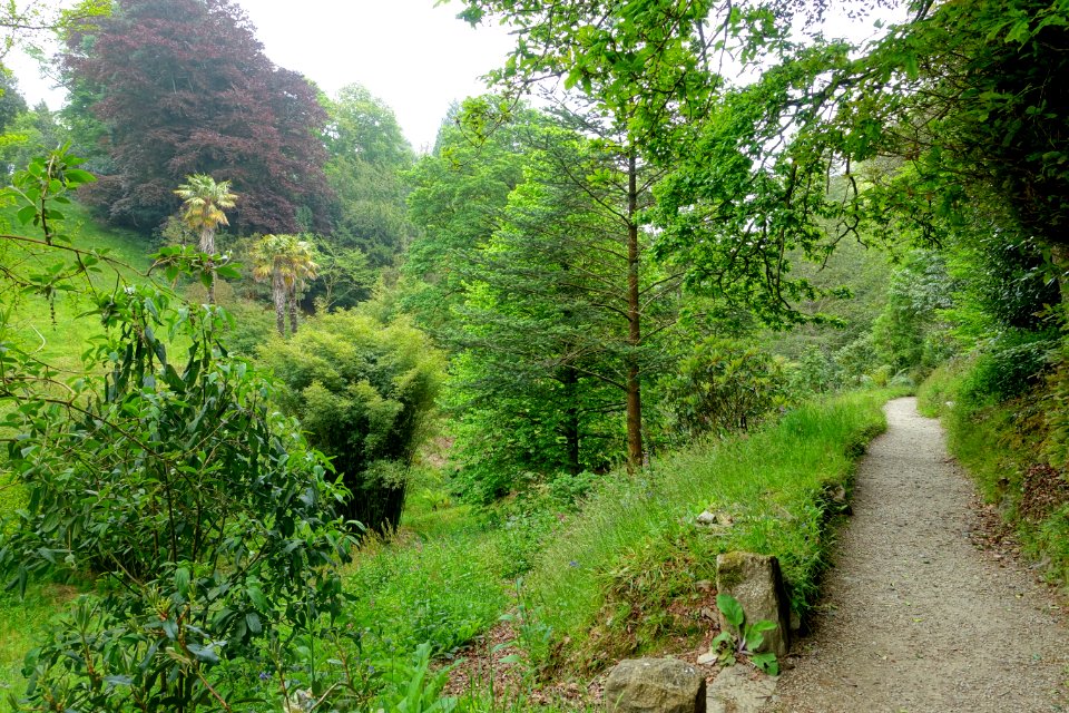 Pathway - Glendurgan Garden - Cornwall, England - DSC01843