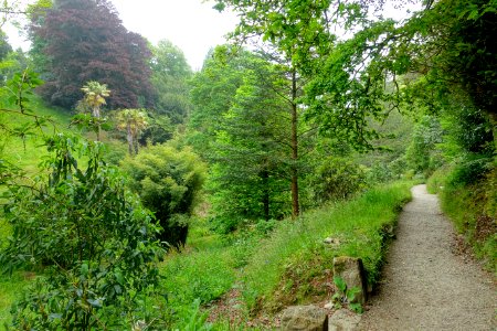 Pathway - Glendurgan Garden - Cornwall, England - DSC01843