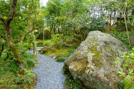 Pathway - Hakuun-do Chaen Tearooms - Gora Park - Hakone, Kanagawa, Japan DSC08512