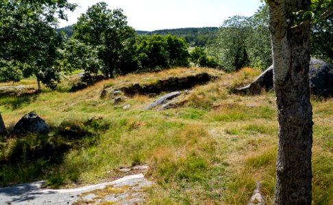 Path between north and south ruins at Röe Castle 2