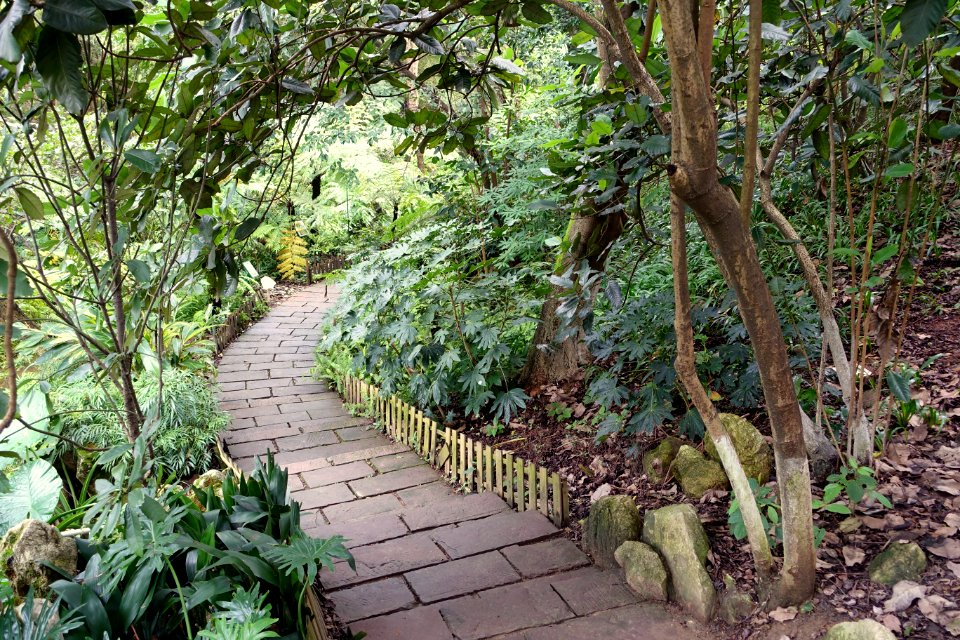 Pathway - Chengdu Botanical Garden - Chengdu, China - DSC03212