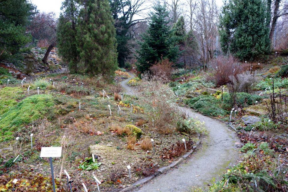 Pathway - Botanischer Garten, Dresden, Germany - DSC08663