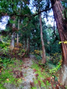 Path between Suwa Shrine and the Shinkansen tunnel