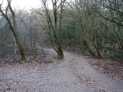Path at Drachenberg on 2019-12-18 10