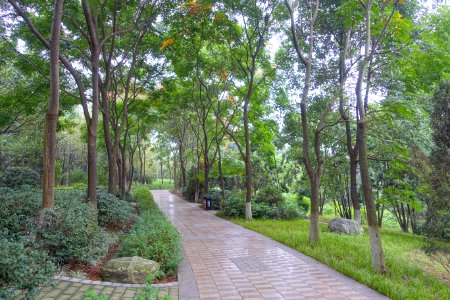 Pathways - Chengdu Botanical Garden - Chengdu, China - DSC03714
