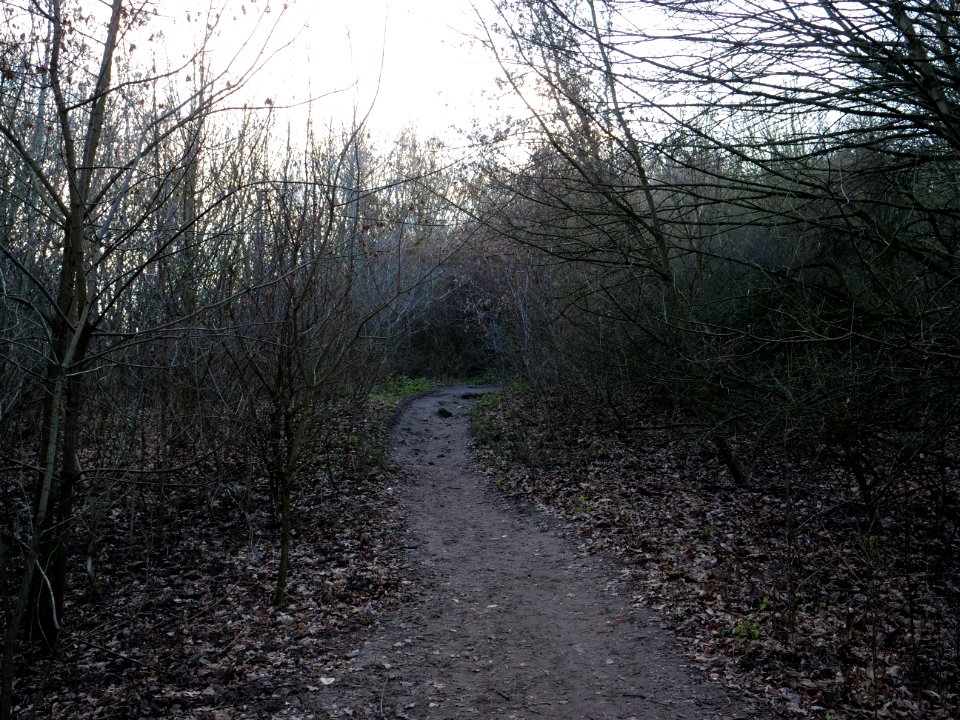 Path at Drachenberg on 2019-12-18 09