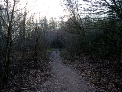 Path at Drachenberg on 2019-12-18 09