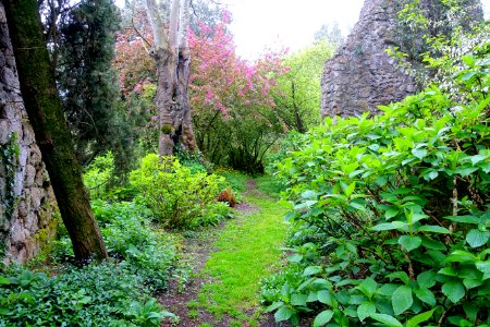 Path - Torrecchia Vecchia - Cisterna di Latina, Italy - DSC03395