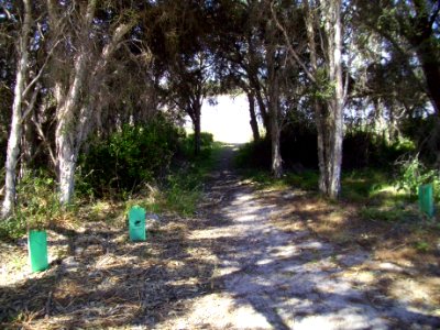 Path down to Lake Preston 2 (E37@WTW2013)